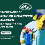 The Importance of Regular Domestic Cleaning for Healthy and Happy Home